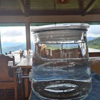 Natural Spring water 💧 at Vista Verde Lodge in Monteverde