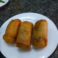 Fried Rolls at Ngoc Chi in Da Nang