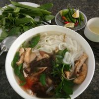 Delicious Pho at Ngoc Chi in Da Nang