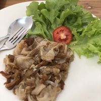 Noodle with vegan chicken   at Phaen Din Vegan Vegetarian - เจแผ่นดิน มังสวิรัติ in Chiang Mai