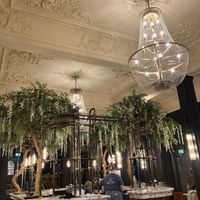   at Stack & Still in Edinburgh