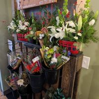  at Bonfire Coffee in Carbondale