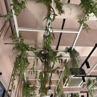 The ceiling  #Veganuary at MALOA Poke Bowl in Dortmund