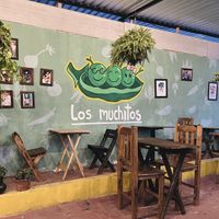 Dining area  at Los Muchitos Comida Vegana in Oaxaca