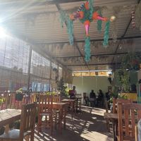   at Los Muchitos Comida Vegana in Oaxaca