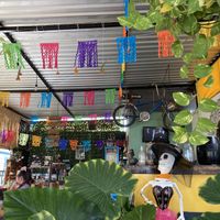   at Los Muchitos Comida Vegana in Oaxaca