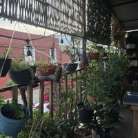   at Los Muchitos Comida Vegana in Oaxaca