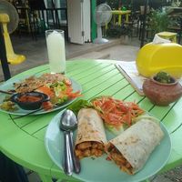 We had such a great meal. Everything was seasoned perfectly. And all ingredients were super fresh. at Green Dog in Chiang Mai