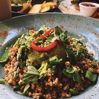 Luminous vegan bowl at Avocado in Athens