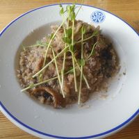 Mushroom Risotto with vegan Parmesan cheese at STF Kvikkjokk Fjällstation in Kvikkjokk