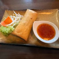 Spring roll   at Hanoi Vietnamese Soulfood in Stuttgart