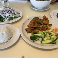 Lemongrass nuggets (plate of veggies on the left is for the noodle soup)  at Loving Hut in Falls Church