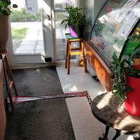  at Pho Ici in Montreal