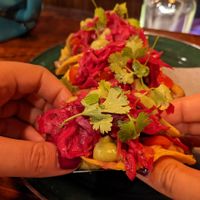 Mushroom tacos at Cuerno de Toro in Merida