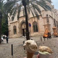   at Rivareno Catedral in Mallorca