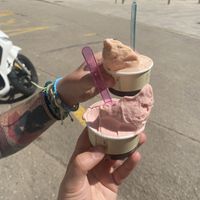   at Rivareno Catedral in Mallorca