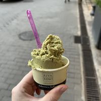   at Rivareno Catedral in Mallorca