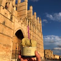  at Rivareno Catedral in Mallorca