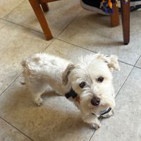 Gio (sp?) at Johannes Comfort Food and Bar in Merida