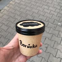 Blueberry ice cream  at Imaginarni Zmrzlina in Prague