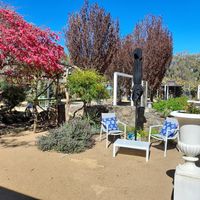 Outdoor garden seating at Wild Grounds Cafe in Morgan Park