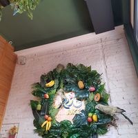 Inside at Rio Juice - Calea Victoriei in Bucharest