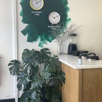 Inside  at Little Collins CBD Dispensary in Kilkenny