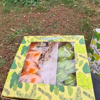 Take away and go for a picnic at Temakinho in Rome