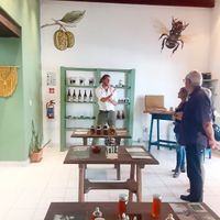 Visit of the shop and explanations of the specificities of each product/Visita de la tienda con explicaciones de las particularidades de los productos at La Mirilla de los Sabores in Oaxaca