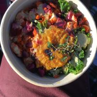 Demi rainbow harvest at Life Alive Organic Cafe in Cambridge