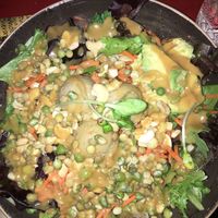 Warrior Salad Bowl (w/sprouted legumes and avocado) at Life Alive Organic Cafe in Cambridge