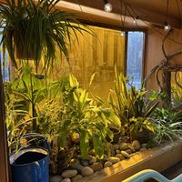   at Life Alive Organic Cafe in Cambridge