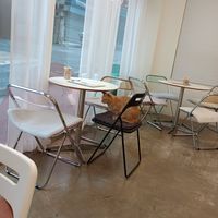 Cat called Cherry just chilling at Sunny Bowl in Seoul