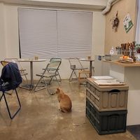  at Sunny Bowl in Seoul