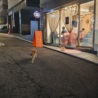  at Sunny Bowl in Seoul