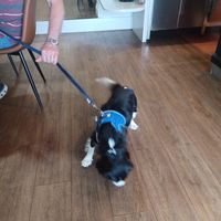  at Walnuts in Chislehurst