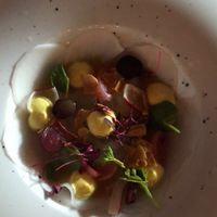   at Pollevie in Den Bosch