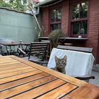   at Kumin Vegan Lezzetler in Istanbul