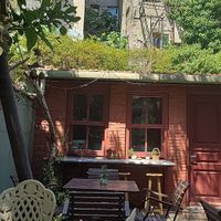 The lovely garden! at Kumin Vegan Lezzetler in Istanbul