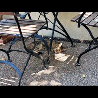  at Kumin Vegan Lezzetler in Istanbul