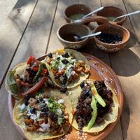 I love these plates, just amazing food  at La Vegan Taqueria in Tulum