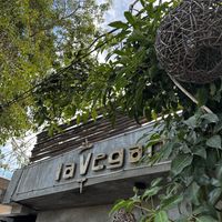   at La Vegan Taqueria in Tulum