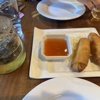 Spring rolls and jasmine tea  at Sunflower Vegetarian Restaurant in Vienna