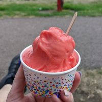 Watermelon sorbet was nice, no crystals, fresh flavour but melted really quickly! at Portsoy Ice Cream in Banff