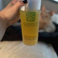 Mango flavored tea with lychee jelly at Corner 17 in St Louis