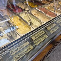 Vegan ice creams on display at Leoni Gelateria in Monza