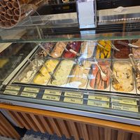 Vegan ice creams on display at Leoni Gelateria in Monza