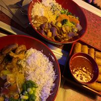 Veganes Curry (gelb) mit Reis und Frühlingsrollen 🍛  at Europa Park - Bamboe Baai in Rust