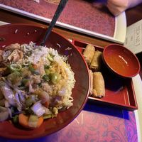 Bowl mit Reis, Gemüse, veganem Hähnchen, Erdnusssoße und FrühlingsrolleBowl  at Europa Park - Bamboe Baai in Rust