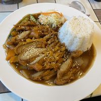 a peking “duck” 👌🏼 at Vegan City - Husitska in Prague